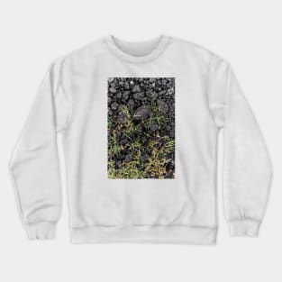 Green Grass Growing On Black Stones - Alternative Crewneck Sweatshirt